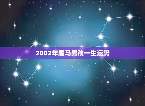 2002年属马男孩一生运势,02年属马申时出生的男生的长大运势? 2002年属马男孩一生运势,02年属马申时出生的男生的长大运势?