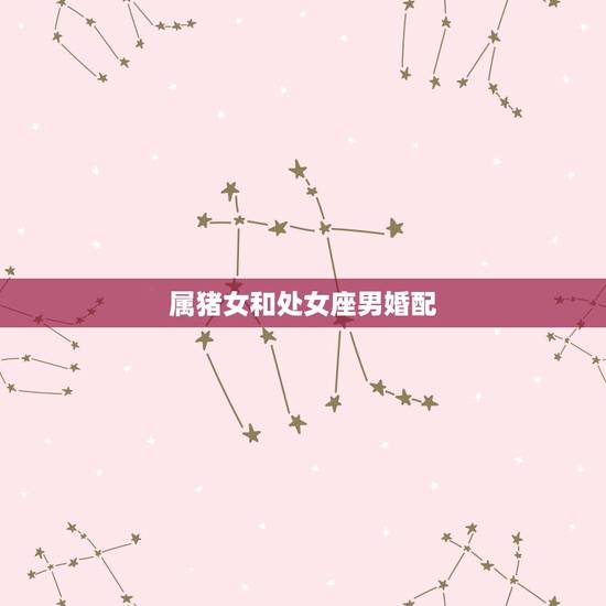 属猪女和处女座男婚配，1990年属马处女座男和1995属猪处女座女的人