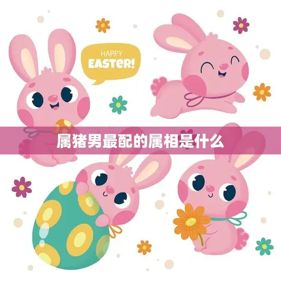 属猪男最配的属相是什么(揭秘最佳配对星座是TA)