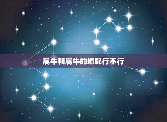 属牛和属牛的婚配行不行,属狗的和属牛的婚配好不好? 属牛和属牛的婚配行不行,属狗的和属牛的婚配好不好?