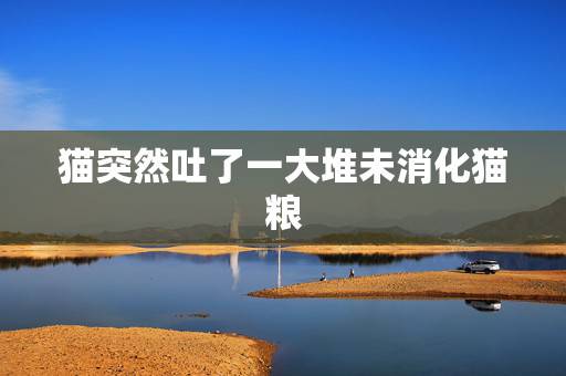 猫突然吐了一大堆未消化猫粮,大家帮帮忙 我家猫猫老吐 是那种刚吃完猫粮 猫突然吐了一大堆未消化猫粮,大家帮帮忙 我家猫猫老吐 是那种刚吃完猫粮