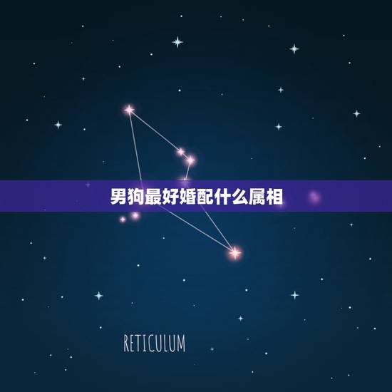 男狗最好婚配什么属相，属狗男和什么属相的女性结婚最合适