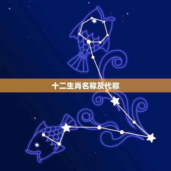 十二生肖名称及代称,十二生肖名称 十二生肖名称及代称,十二生肖名称