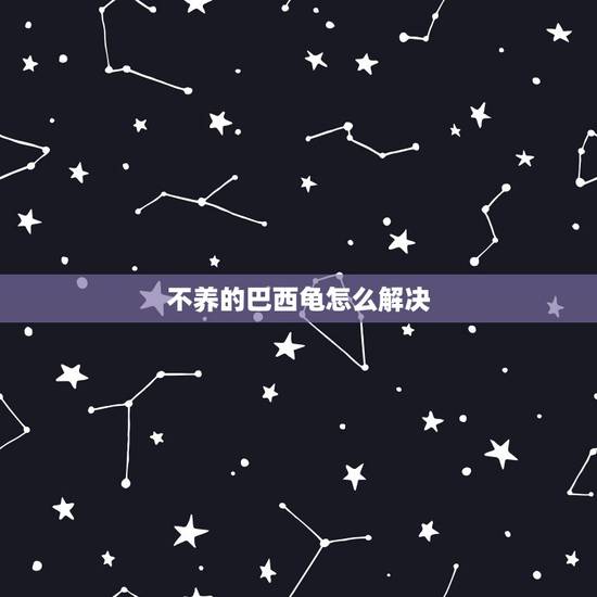 不养的巴西龟怎么解决,巴西龟是害虫类动物,如果不想养了,应该怎么处理! 不养的巴西龟怎么解决,巴西龟是害虫类动物,如果不想养了,应该怎么处理!