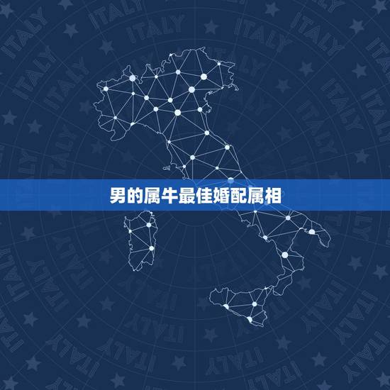 男的属牛最佳婚配属相，属牛男的和什么属相最配