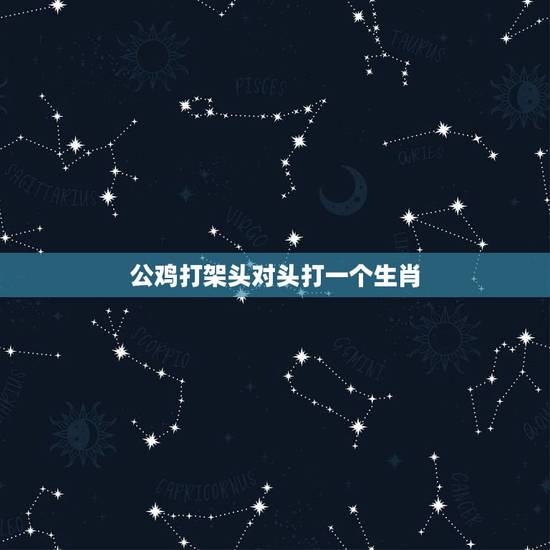 公鸡打架头对头打一个生肖，鸡飞狗跳打一生肖