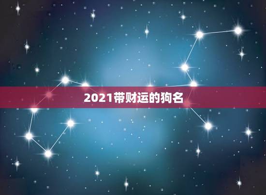 2021带财运的狗名，狗狗取名字带财运