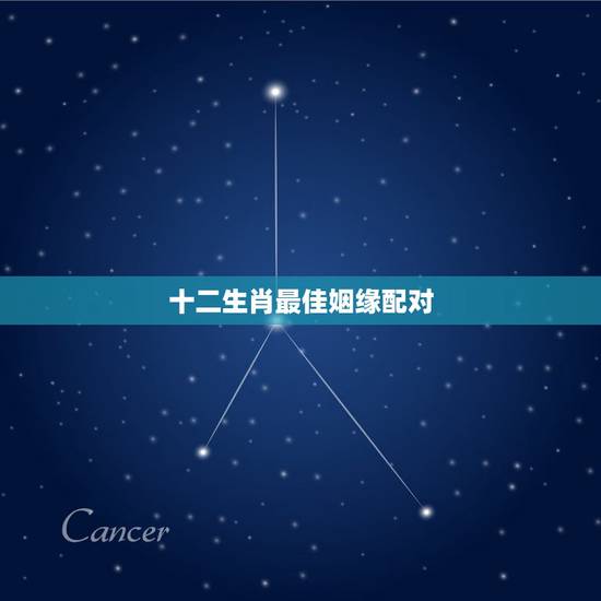 十二生肖最佳姻缘配对 最全十二属相婚配表 十二生肖最佳姻缘配对 最全十二属相婚配表
