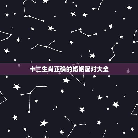 十二生肖正确的婚姻配对大全,十二生肖配对 十二生肖正确的婚姻配对大全,十二生肖配对