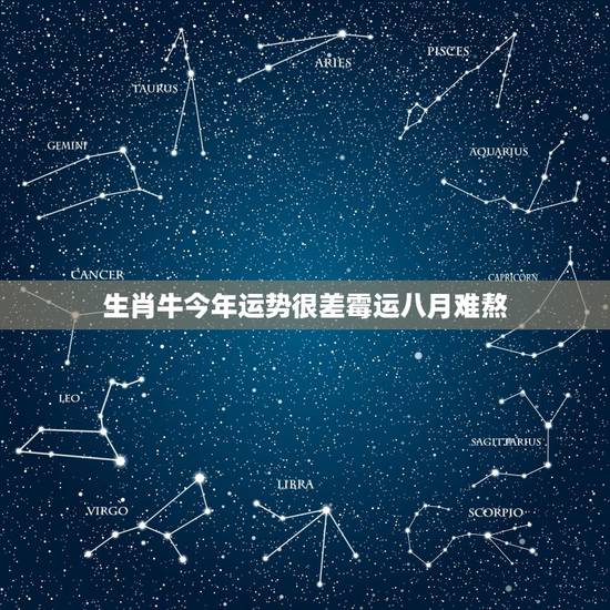 生肖牛今年运势很差霉运八月难熬,最近好倒霉啊,今年是不是属牛的倒霉年啊 生肖牛今年运势很差霉运八月难熬,最近好倒霉啊,今年是不是属牛的倒霉年啊