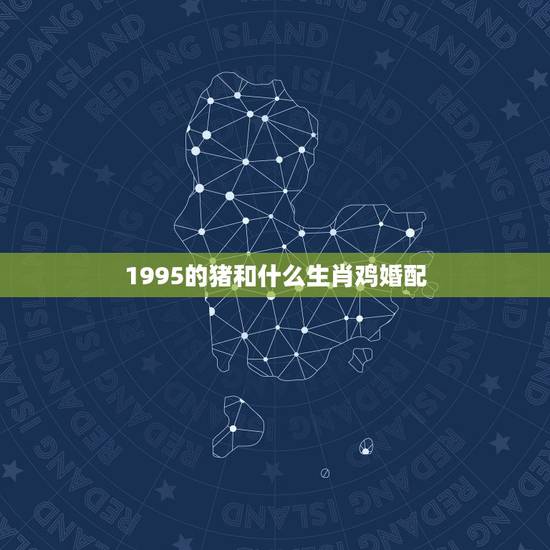 1995的猪和什么生肖鸡婚配，1995年属猪和什么属相最好