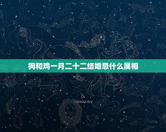 狗和鸡一月二十二结婚忌什么属相,属狗属鸡的今年结婚忌讳什么属相的人 狗和鸡一月二十二结婚忌什么属相,属狗属鸡的今年结婚忌讳什么属相的人
