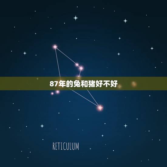 87年的兔和猪好不好，93年女属鸡的属相婚配表