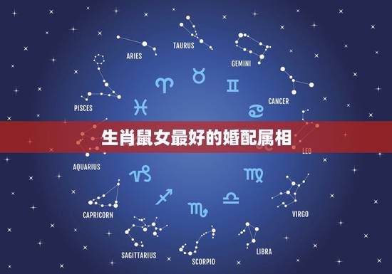 生肖鼠女最好的婚配属相,属鼠的和什么属相最配,属鼠的属相婚配表女,属鼠 生肖鼠女最好的婚配属相,属鼠的和什么属相最配,属鼠的属相婚配表女,属鼠