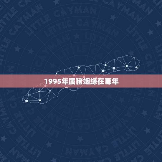 1995年属猪姻缘在哪年，95属猪姻缘何时到
