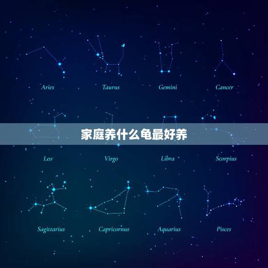 家庭养什么龟最好养,家里养哪种乌龟比较好 家庭养什么龟最好养,家里养哪种乌龟比较好