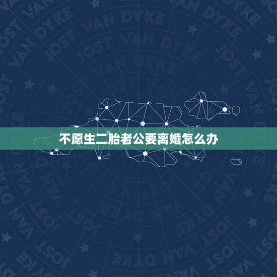 不愿生二胎老公要离婚怎么办,因为现在暂时不想生孩子,然后老公要离婚,我 不愿生二胎老公要离婚怎么办,因为现在暂时不想生孩子,然后老公要离婚,我