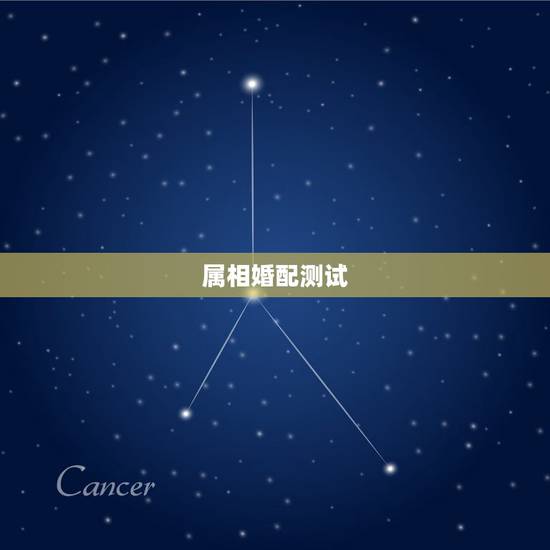 属相婚配测试,属兔的人和什么属相最配,属相婚配测试表解答 属相婚配测试,属兔的人和什么属相最配,属相婚配测试表解答