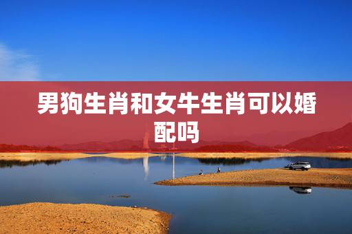 男狗生肖和女牛生肖可以婚配吗，属狗的男生和属牛的女生婚姻相配吗？