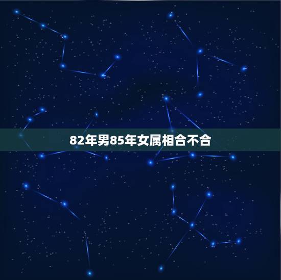 82年男85年女属相合不合,82年属狗(女)的和85年属牛的(男),属 82年男85年女属相合不合,82年属狗(女)的和85年属牛的(男),属