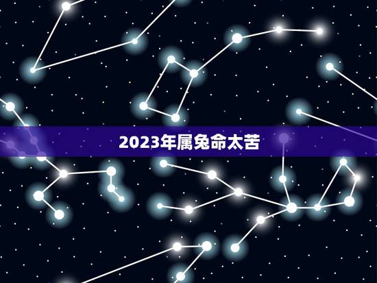 2023年属兔命太苦,2023年属兔人的全年运势如何 2023年属兔命太苦,2023年属兔人的全年运势如何