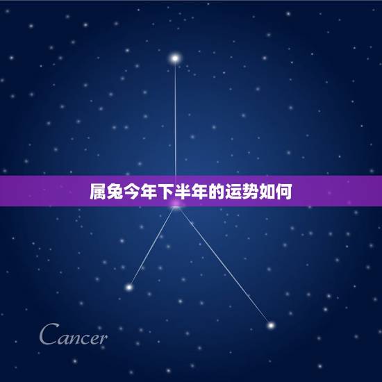 属兔今年下半年的运势如何，属兔人2022 年下半年运势