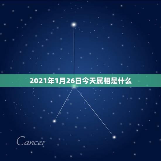 2021年1月26日今天属相是什么，预产期在2021年1月份，孩子属相
