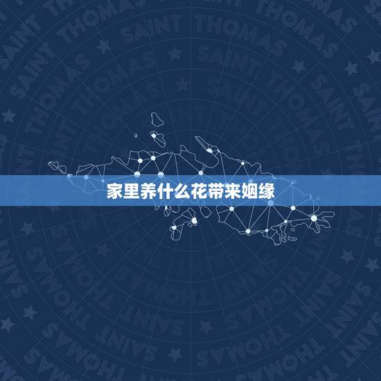家里养什么花带来姻缘，室内养花哪种花好养