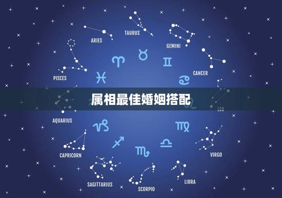 属相最佳婚姻搭配，属猪的最佳婚姻配对