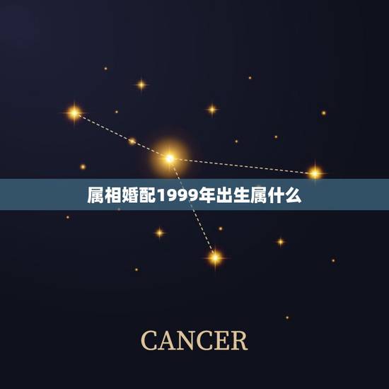 属相婚配1999年出生属什么，1999年出生人适合的配偶