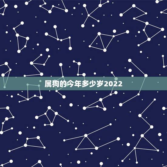 属狗的今年多少岁2022，属鸡的今年多少岁