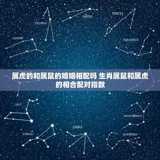 属虎的和属鼠的婚姻相配吗 生肖属鼠和属虎的相合配对指数
