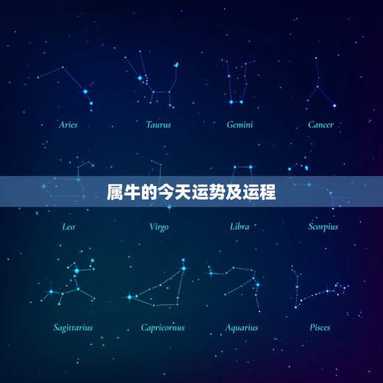 属牛的今天运势及运程，属猪的今天的运势怎么样