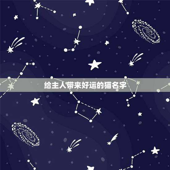 给主人带来好运的猫名字，寓意好的猫咪名字