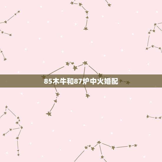 85木牛和87炉中火婚配,木牛命和炉中火命的夫妻和吗 85木牛和87炉中火婚配,木牛命和炉中火命的夫妻和吗