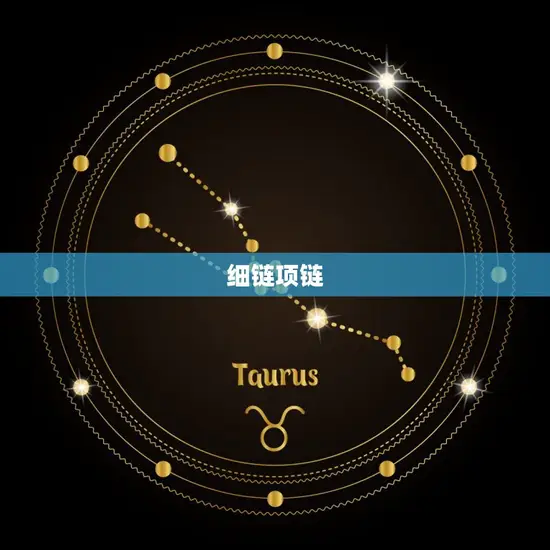 细链项链 细链项链