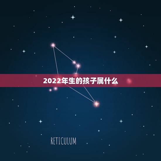2022年生的孩子属什么,明年出生的孩子是什么命2022 2022年生的孩子属什么,明年出生的孩子是什么命2022