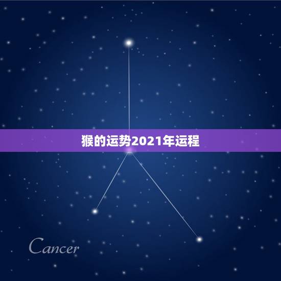 猴的运势2021年运程，属猴牛年运势2021年运程