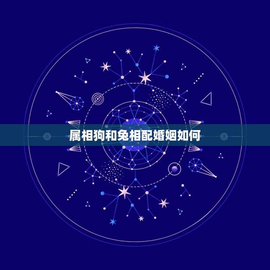 属相狗和兔相配婚姻如何，1994年属狗的和1999年属兔的婚姻能配的上