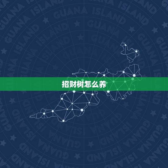 招财树怎么养,发财树如何养才能长得好? 招财树怎么养,发财树如何养才能长得好?