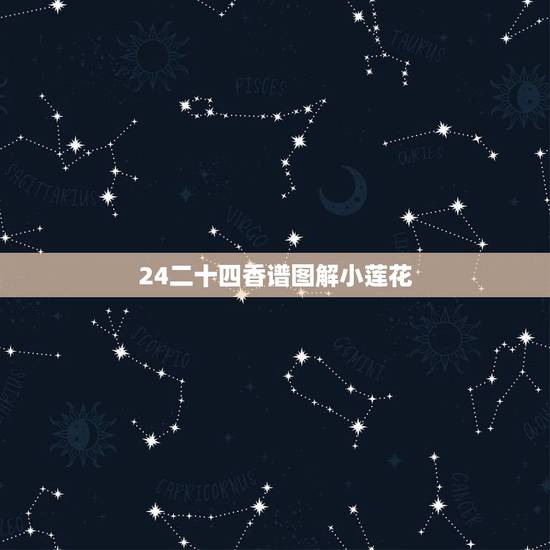 24二十四香谱图解小莲花,二十四香谱图解(香谱)OK 24二十四香谱图解小莲花,二十四香谱图解(香谱)OK