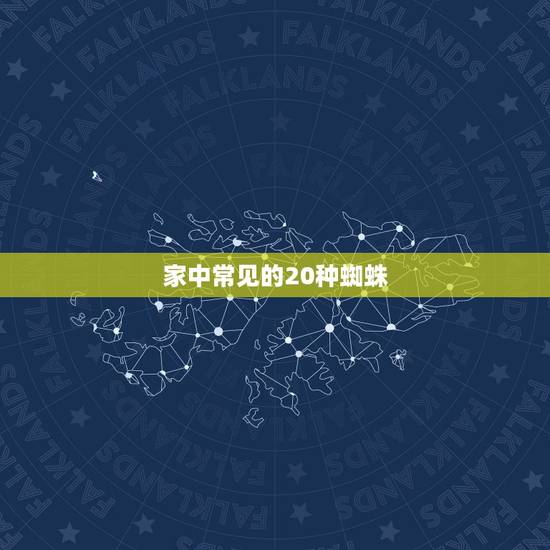 家中常见的20种蜘蛛,家中最常见的蜘蛛是什么 家中常见的20种蜘蛛,家中最常见的蜘蛛是什么