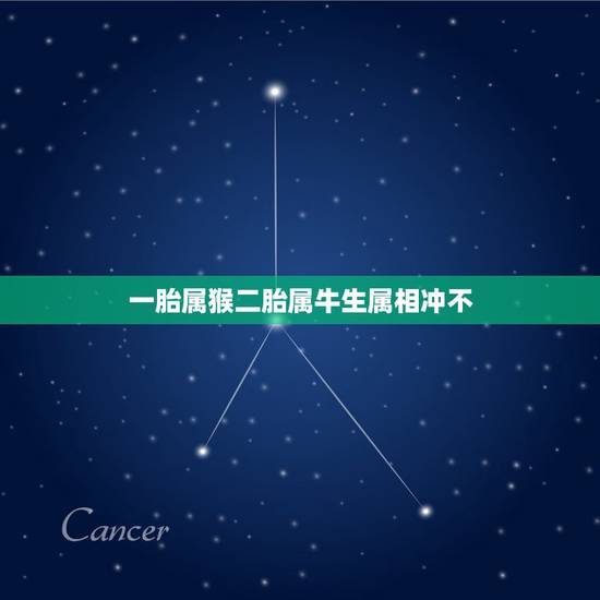 一胎属猴二胎属牛生属相冲不，属猴和属牛生什么属相的孩子