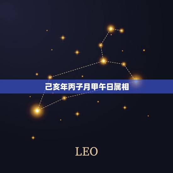 己亥年丙子月甲午日属相,己亥年 丙子月五行属什么?五行缺什么? 己亥年丙子月甲午日属相,己亥年 丙子月五行属什么?五行缺什么?
