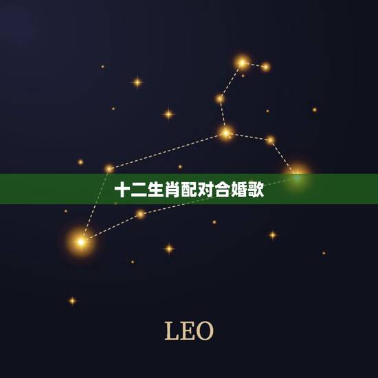 十二生肖配对合婚歌，生辰八字婚配，跪求大师解答