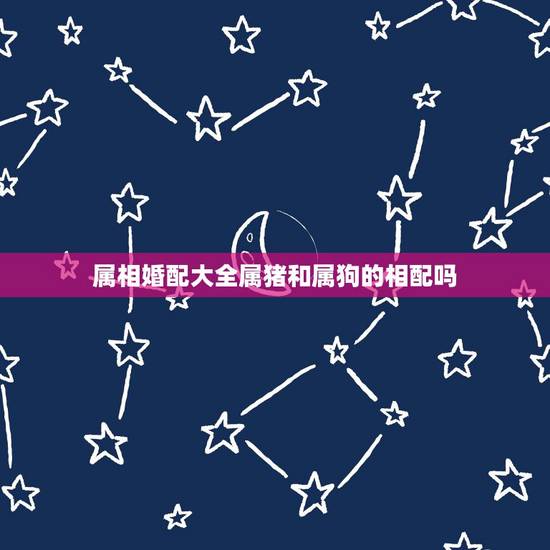 属相婚配大全属猪和属狗的相配吗，1994年属狗男和属猪女相配吗