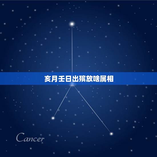 亥月壬日出殡放啥属相，壬谦亥葬坟今年几月几日大利？