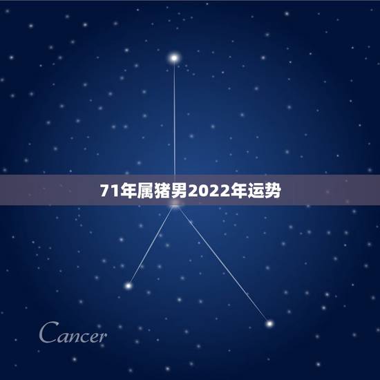 71年属猪男2022年运势，2022属猪人的全年运势如何