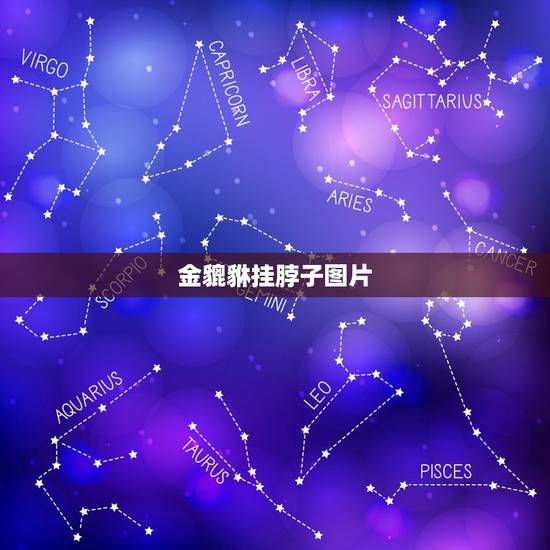 金貔貅挂脖子图片，貔貅可以挂脖子上吗