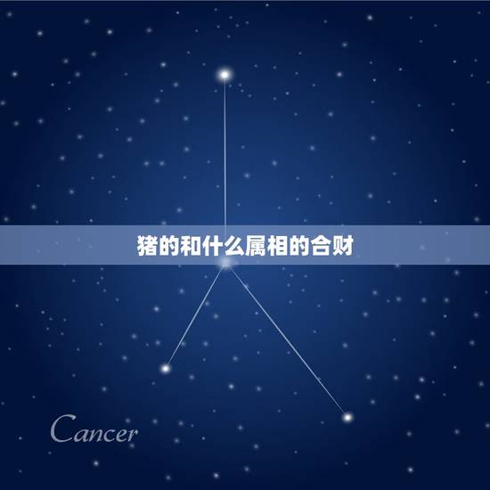 猪的和什么属相的合财，属猪和属兔的合不合